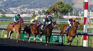 Horse Racing ID overview